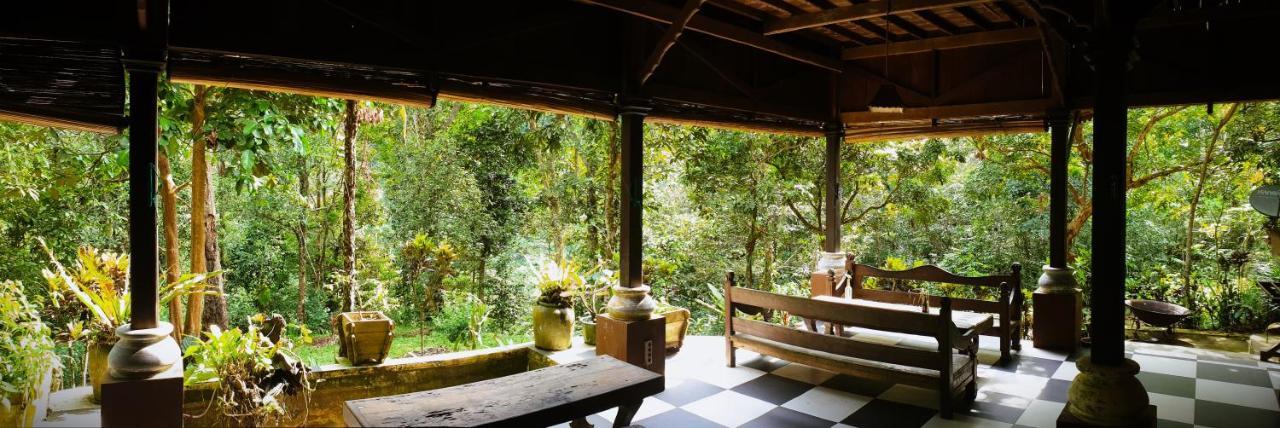 Happy Ria Homestay & Guesthouse Bukit Lawang Bagian luar foto