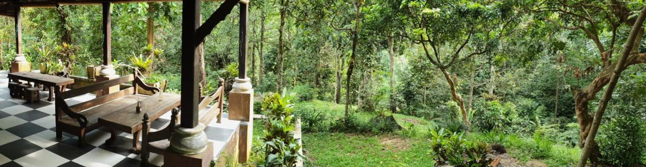 Happy Ria Homestay & Guesthouse Bukit Lawang Bagian luar foto