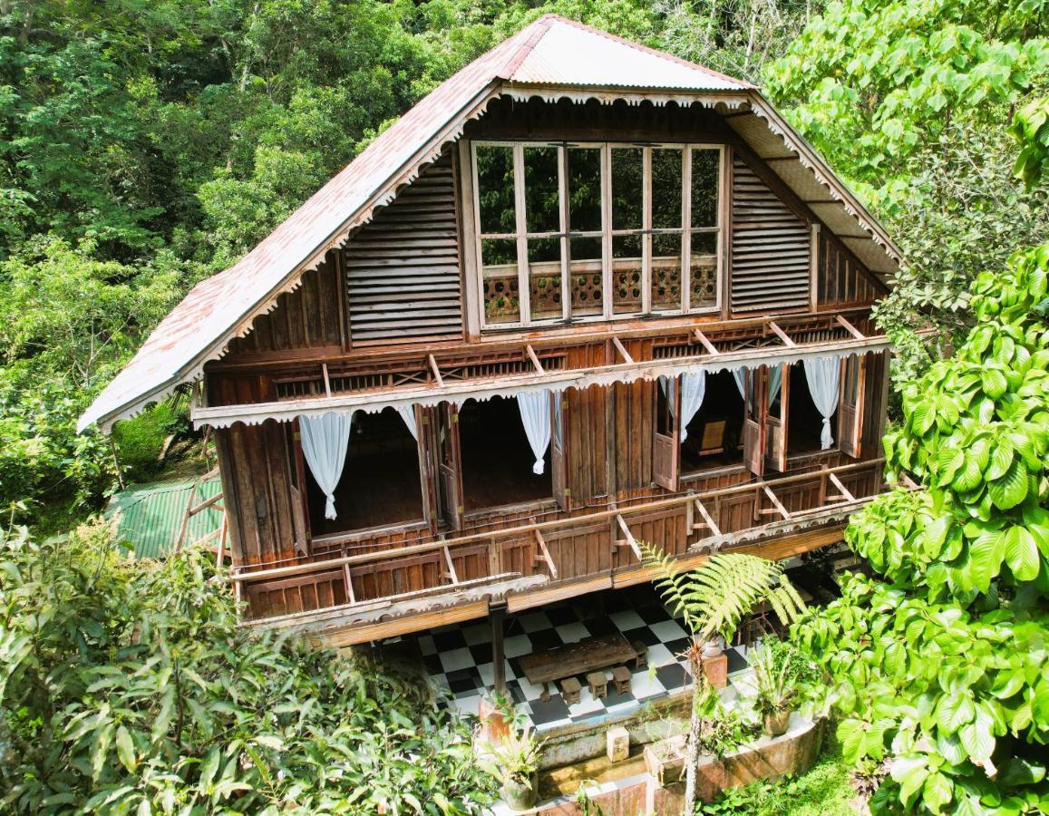 Happy Ria Homestay & Guesthouse Bukit Lawang Bagian luar foto
