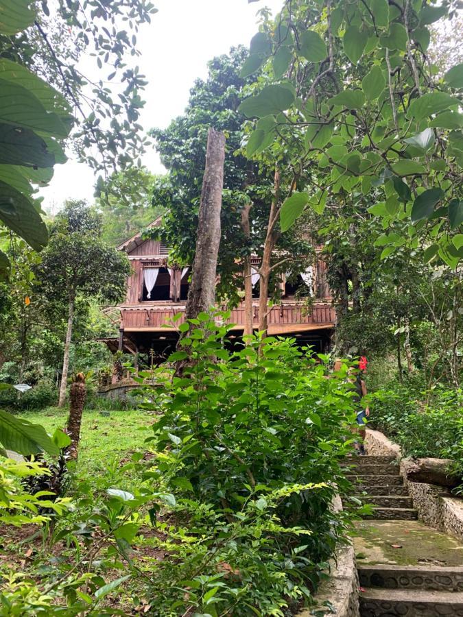 Happy Ria Homestay & Guesthouse Bukit Lawang Bagian luar foto